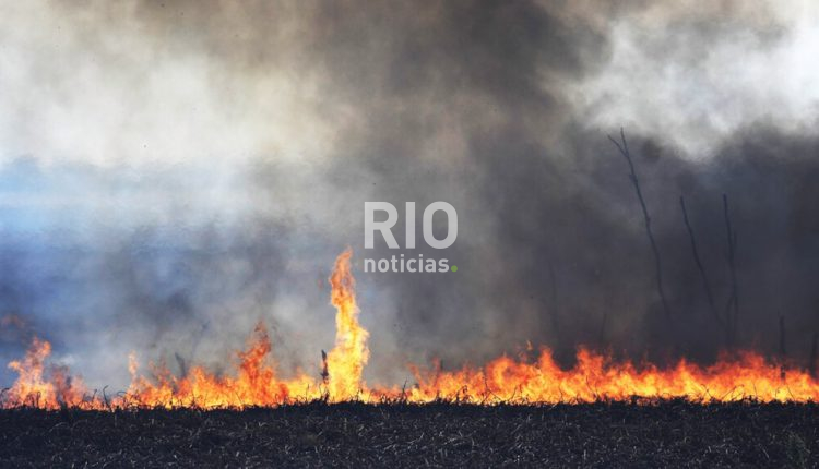 fuego-incendio-telam